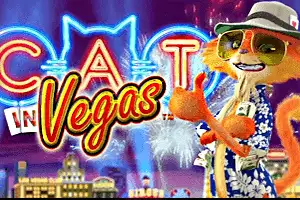 Cat in Vegas